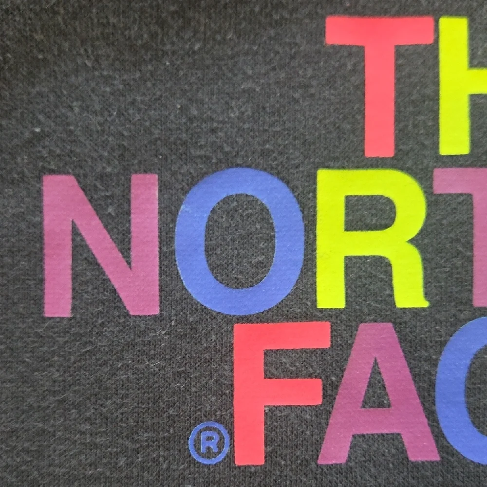 The North Face Black Hoodie with Multicolor Logo - Picture 3 of 5